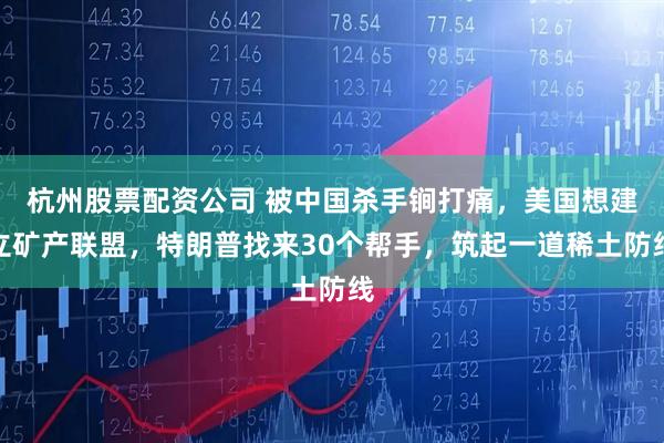 杭州股票配资公司 被中国杀手锏打痛，美国想建立矿产联盟，特朗普找来30个帮手，筑起一道稀土防线